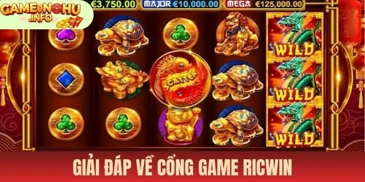 Vấn đề và giải đáp chính xác dành cho Ricwin